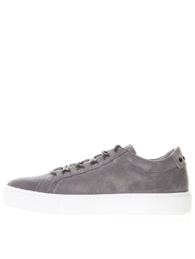 Shop Tod's Sneakers In Grey Suede