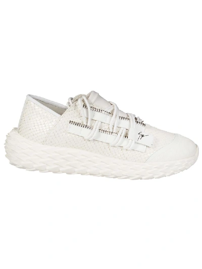 Shop Giuseppe Zanotti Urchin Sneakers In Mimas Bianco