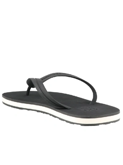 Shop Dolce & Gabbana Thong Sandals In Black