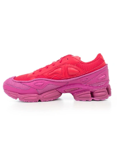 Shop Adidas Originals Adidas By Raf Simons Rs Ozweego Trainers In Glory Colred Colred