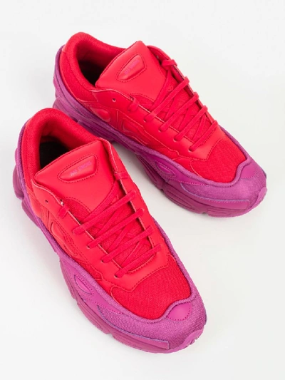 Shop Adidas Originals Adidas By Raf Simons Rs Ozweego Trainers In Glory Colred Colred