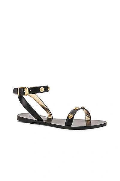 Versace Tribute Flat Medusa Studded Sandals In Black | ModeSens