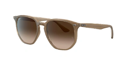 Shop Ray Ban Ray In Brown