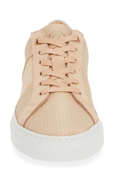 Shop Greats Royale Low Top Sneaker In Mauve / Pearl Leather