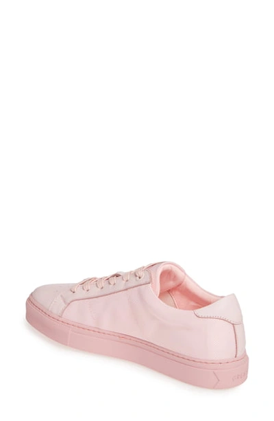 Shop Greats Royale Low Top Sneaker In Soft Pink Leather