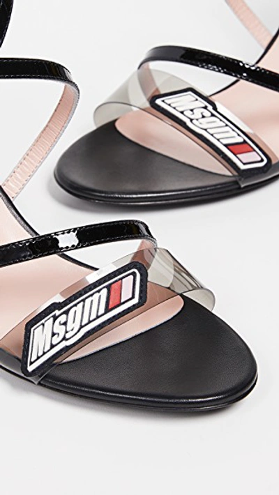 Shop Msgm Logo Sandals In Black