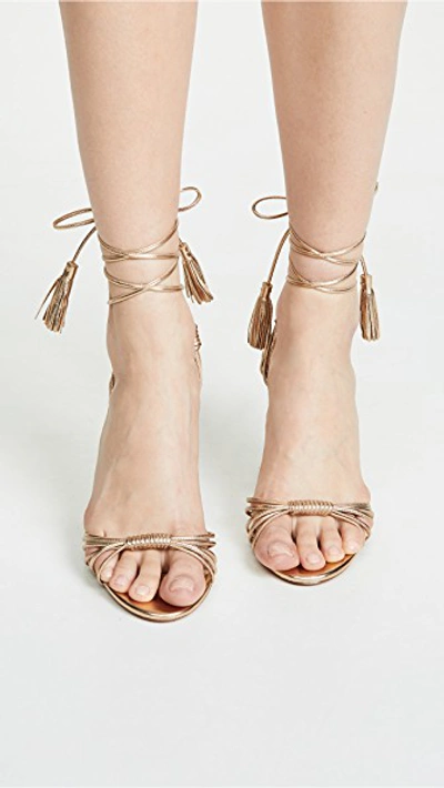 Shop Aquazzura Mescal 85mm Sandals In Soft Gold