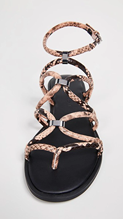 Sarle Strappy Sandals