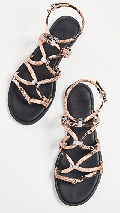 Shop Rebecca Minkoff Sarle Strappy Sandals In Rosewood