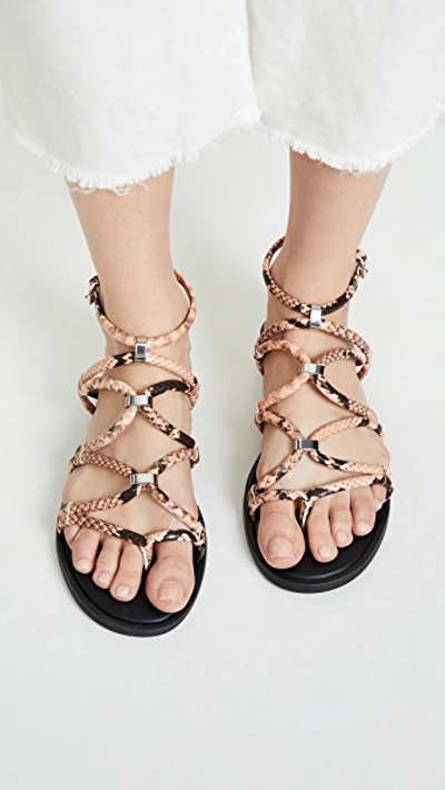 Shop Rebecca Minkoff Sarle Strappy Sandals In Rosewood