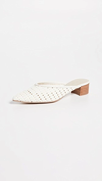 Cupcakes and cashmere leviana best sale mule