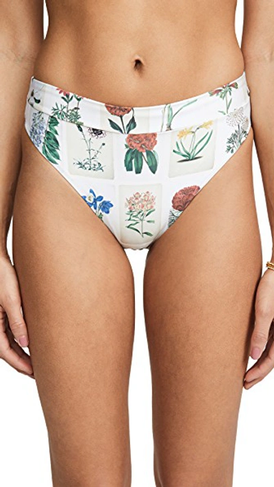 Shop Agua By Agua Bendita Penelope Bikini Bottoms In Postcards