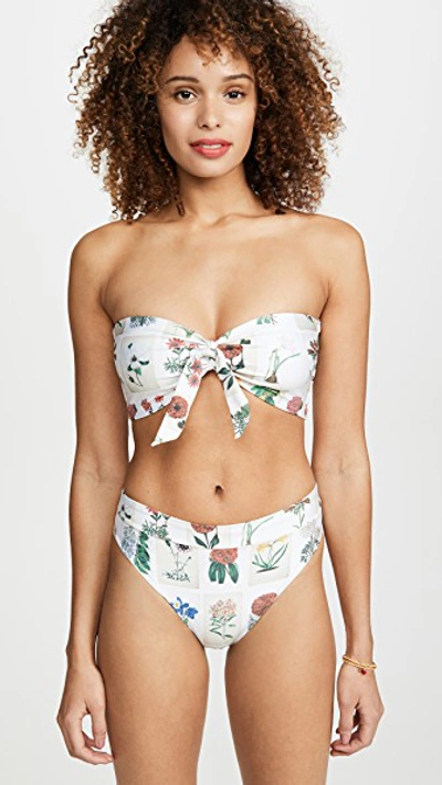 Shop Agua By Agua Bendita Penelope Bikini Bottoms In Postcards