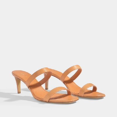Shop Mansur Gavriel | Skinny Double Strap Mules In Cammello Vegetable Tanned Leather