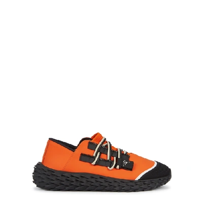 Shop Giuseppe Zanotti Urchin Orange Leather Trainers