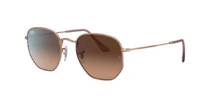 Shop Ray Ban Ray In Brown