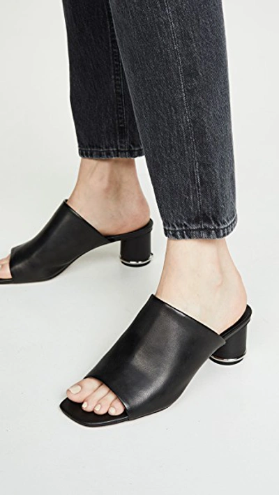 Aceline Mules