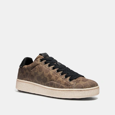 Shop Coach C101 Low Top Sneaker In Khaki
