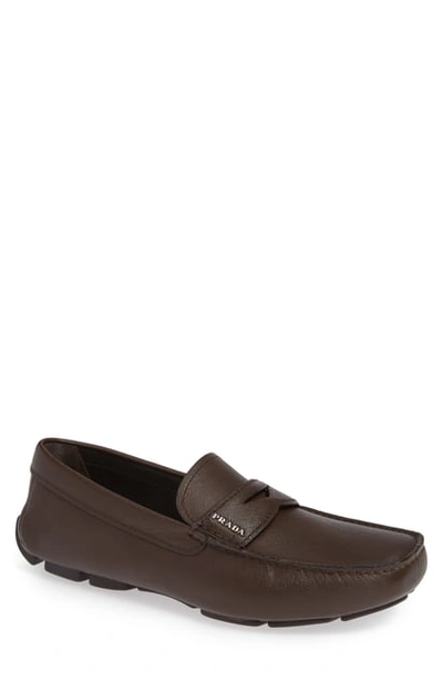 Shop Prada Driving Shoe In Caffe Brown