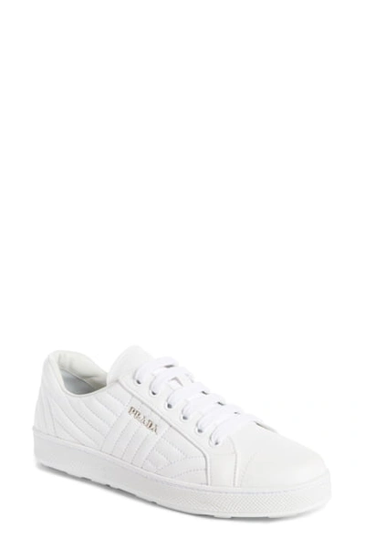 Shop Prada Quilted Leather Sneaker In White