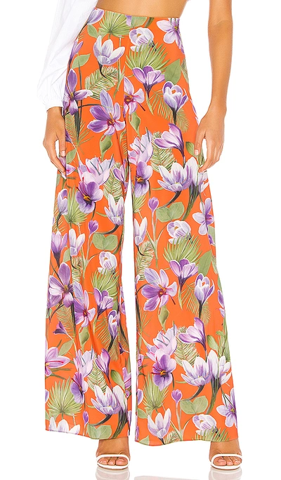 Shop Alice And Olivia Athena Wide Leg Pant In Floral Palm Coral