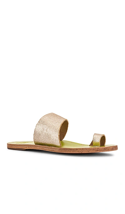 Shop Beek Finch Sandal In Platinum & Citrus