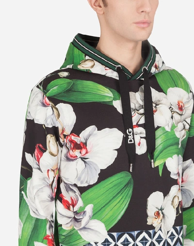 Shop Dolce & Gabbana Cotton Hoodie With Orchid Print In Multicolored