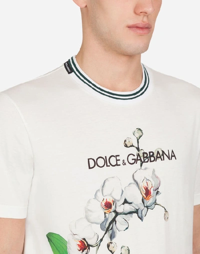 Shop Dolce & Gabbana Cotton T-shirt With Logo And Orchid Print In Multicolored