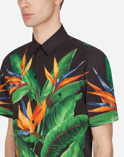Shop Dolce & Gabbana Cotton Hawaiian Shirt With Bird Of Paradise Print In Multicolored
