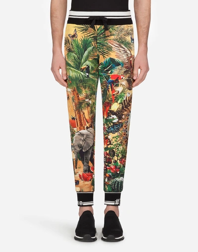 Shop Dolce & Gabbana Jersey Jogging Pants With Tropical King Print In Multicolored