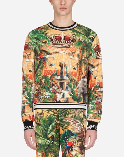 Shop Dolce & Gabbana Cotton Sweatshirt With Tropical King Print In Multicolored