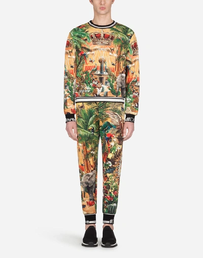 Shop Dolce & Gabbana Cotton Sweatshirt With Tropical King Print In Multicolored