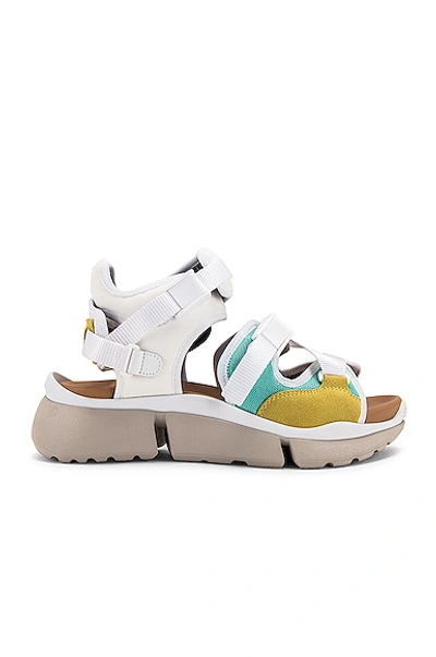 Shop Chloé Open Sneakers In Natural White