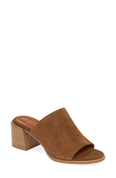 Shop Aquatalia Jayne Slide Sandal In Light Brown