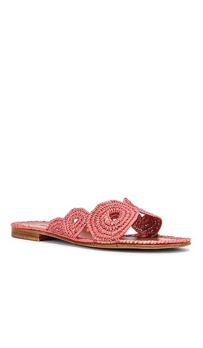 Shop Carrie Forbes Miringi Sandal In Coral