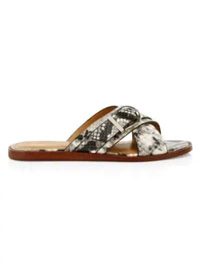 Shop Joie Women's Parsin Buckle Python-embossed Leather Sandals In Neutral