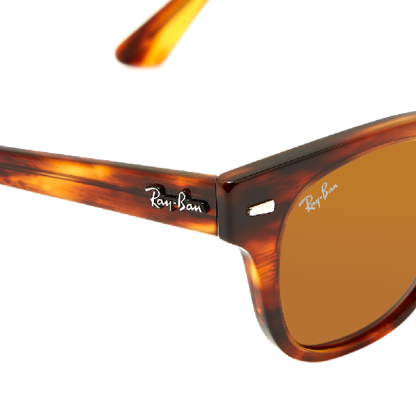 Ray Ban Meteor Classic Sunglasses In Brown | ModeSens