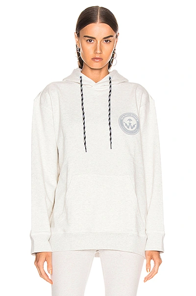 Shop Adidas Originals By Alexander Wang Adidas By Alexander Wang Graphic Hoodie In Lgh