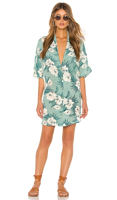 Shop Amuse Society Island Oasis Button Up Dress In Spa Green