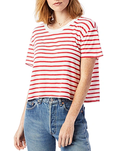 Shop Alternative Headliner Striped Cropped Tee In Red Riviera Stripe