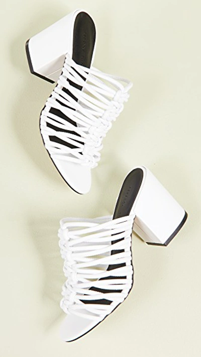 Calanthe Strappy Mules