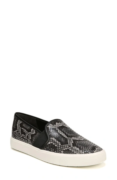 Shop Vince Blair 5 Slip-on Sneaker In Granite Snake Print