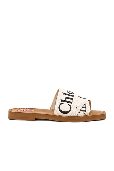 Shop Chloé Woody Canvas Slides In White