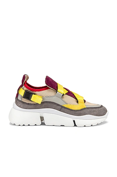 Shop Chloé Chloe Colorblock Sneakers In Multi In Purple Bud