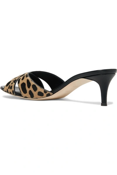 Shop Giuseppe Zanotti Leopard-print Calf Hair Mules In Leopard Print