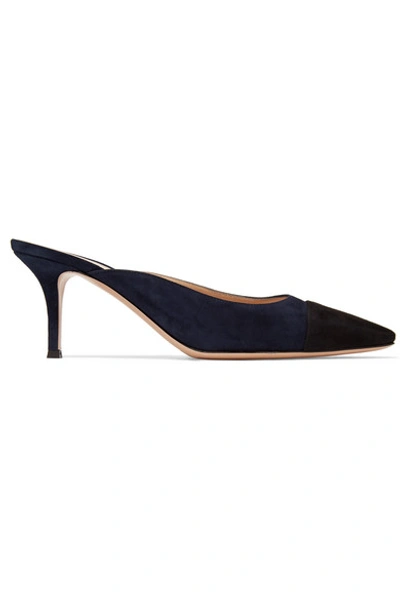 Shop Gianvito Rossi Lucy 70 Two-tone Suede Mules In Navy