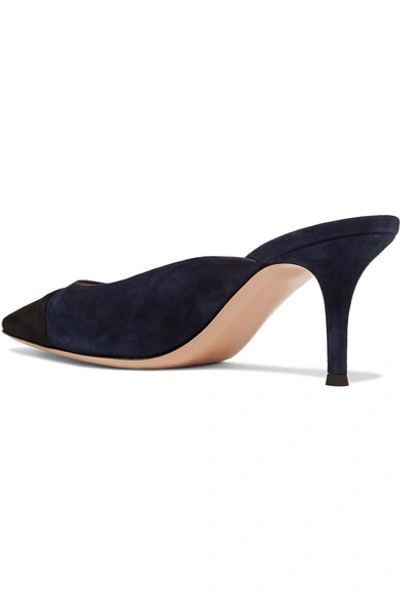 Shop Gianvito Rossi Lucy 70 Two-tone Suede Mules In Navy