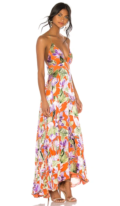 Shop Alice And Olivia Hetty Halter Neck Maxi Dress In Floral Palm Coral