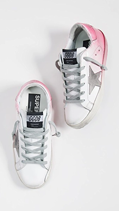 Shop Golden Goose Superstar Sneakers In White/pink