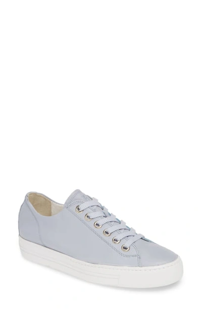 Shop Paul Green Ally Low Top Sneaker In Lago Leather